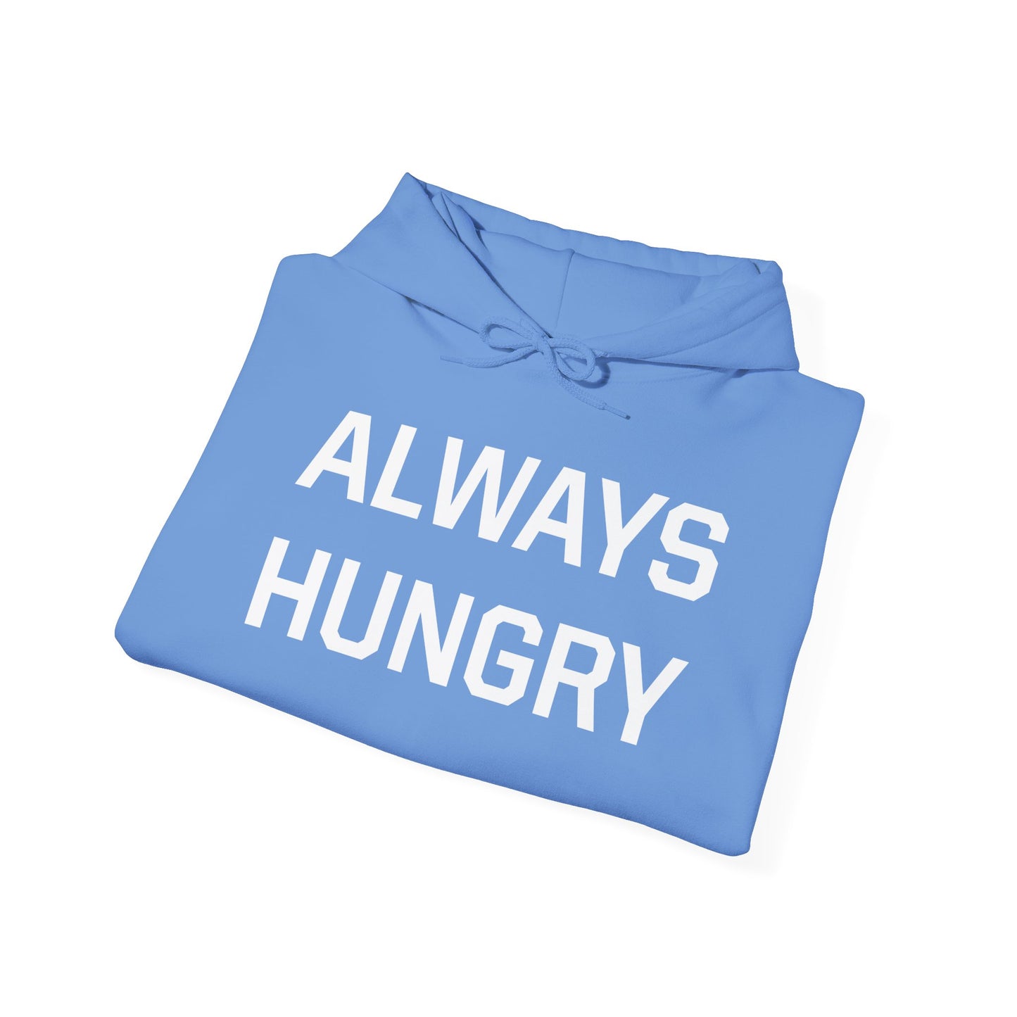 Always Hungry Hoodie with Rocbody Logo on Back